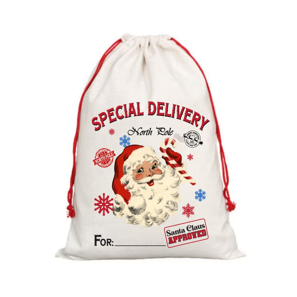 Santa Special Delivery - Santa Sack Design
