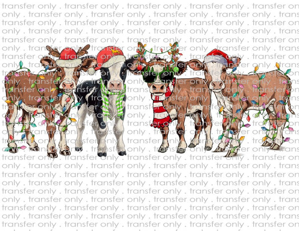 Christmas Cows - Waterslide, Sublimation Transfers