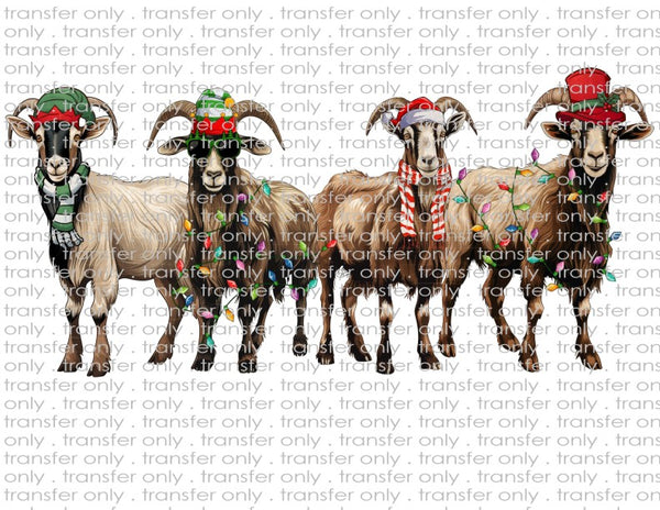 Christmas Goat - Waterslide, Sublimation Transfers