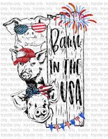 Waterslide, Sublimation Transfers - Patriotic