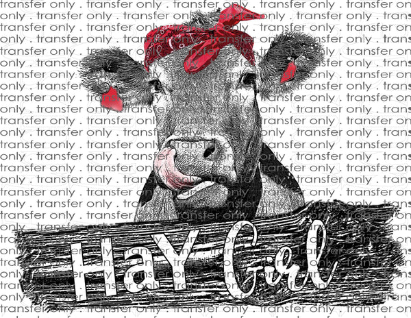 Waterslide, Sublimation Transfers - Country Cow Heifer