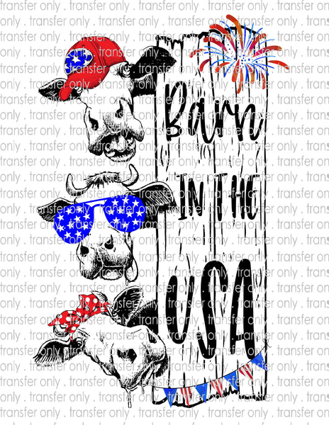 Waterslide, Sublimation Transfers - Patriotic