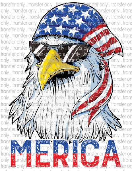 Waterslide, Sublimation Transfers - Patriotic