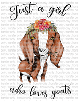 Love Goats - Waterslide, Sublimation Transfers