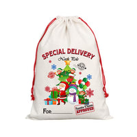 Special Delivery - DTF -Santa Sack Design