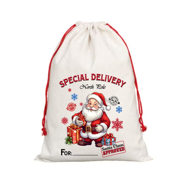 Special Delivery - DTF -Santa Sack Design
