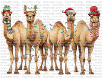 Christmas Camels - Waterslide, Sublimation Transfers