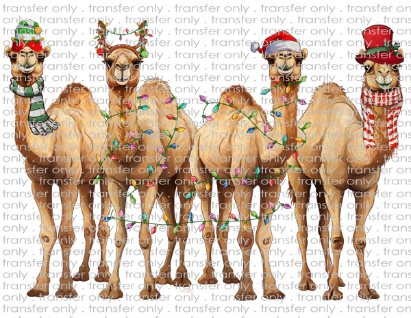 Christmas Camels - Waterslide, Sublimation Transfers