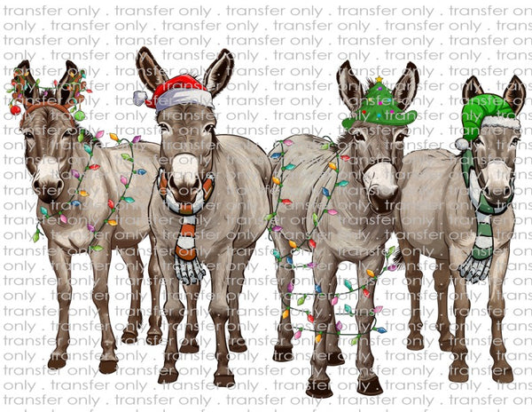 Christmas Donkeys - Waterslide, Sublimation Transfers