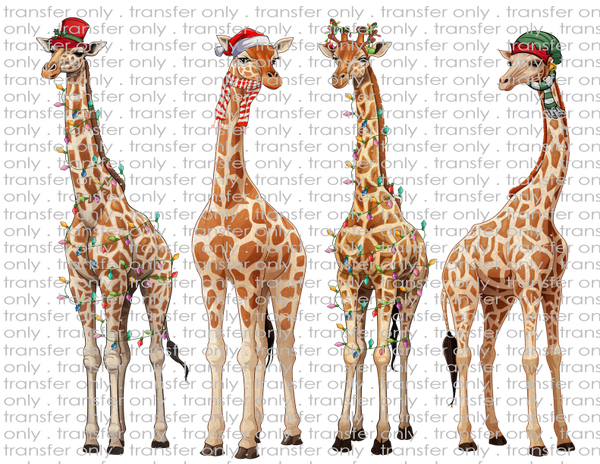 Christmas  Giraffes - Waterslide, Sublimation Transfers