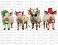 Christmas Pigs - Waterslide, Sublimation Transfers