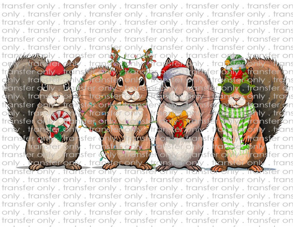 Christmas Squirrels - Waterslide, Sublimation Transfers