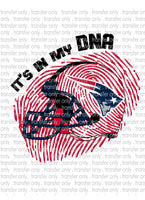 Waterslide, Sublimation Transfers - DNA Football - Patriots