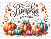 Pumpkin Season - Waterslide, Sublimation Transfers