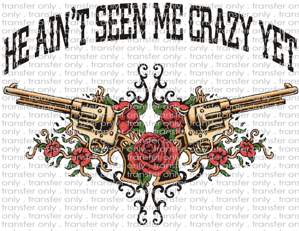 He Ain't Seen Me Crazy Yet - Waterslide, Sublimation Transfers