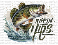 Rippin Lips - Waterslide, Sublimation Transfers