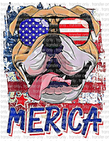 Patriotic Dog - Waterslide, Sublimation Transfers