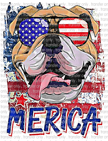 Patriotic Dog - Waterslide, Sublimation Transfers