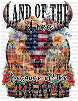 Land of the Free Because of the Brave - Waterslide, Sublimation Transfers
