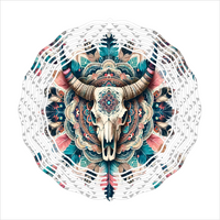Western Cow Skull - Wind Spinner - Sublimation Transfers