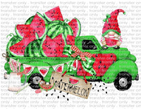 Watermelon Gnome - Waterslide, Sublimation Transfers