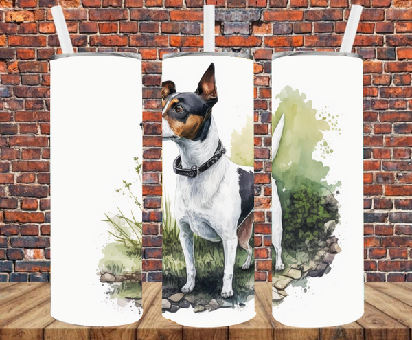 Jack Russell Terrier - Tumbler Wrap - Sublimation Transfers