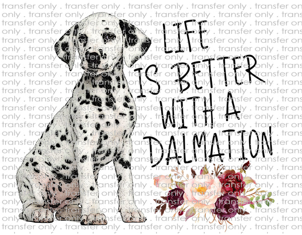 Waterslide, Sublimation Transfers - Pets