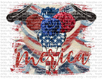 Country Patriotic - Waterslide, Sublimation Transfers