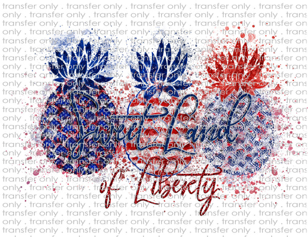 July 4th Land that I Love - Waterslide, Sublimation Transfers
