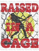 Raised in a Cage Softball - Waterslide, Sublimation Transfers