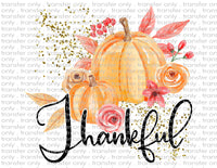 Waterslide, Sublimation Transfers - Thanksgiving