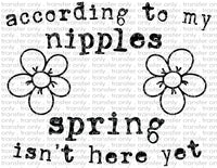 According to My Nipples - Waterslide, Sublimation Transfers