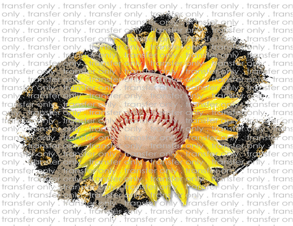 Baseball - Waterslide, Sublimation Transfers