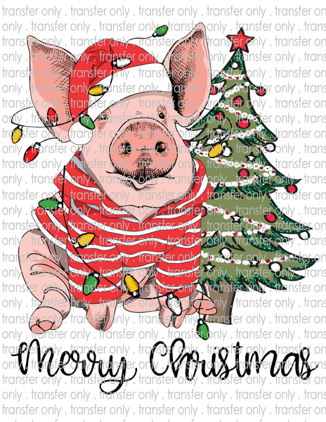 Christmas Pig - Waterslide, Sublimation Transfers
