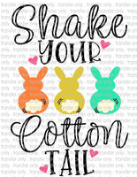 Waterslide, Sublimation Transfers - Kids Easter