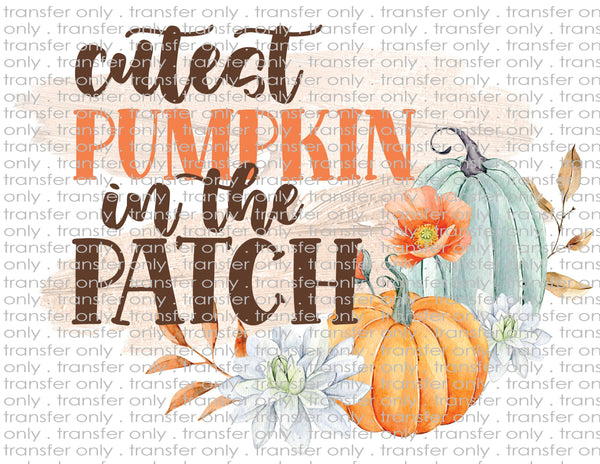 Cutest Pumpkin in the Patch - Waterslide, Sublimation Transfers