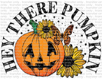 Hey There Pumpkin - Waterslide, Sublimation Transfers
