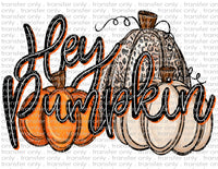 Hey Pumpkin - Waterslide, Sublimation Transfers