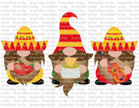 Fiesta Gnomes - Waterslide, Sublimation Transfers