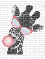 Giraffe Bubblegum - Waterslide, Sublimation Transfers