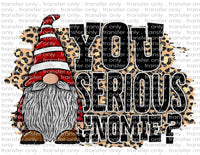 Are you Serious Gnomie - Waterslide, Sublimation Transfers