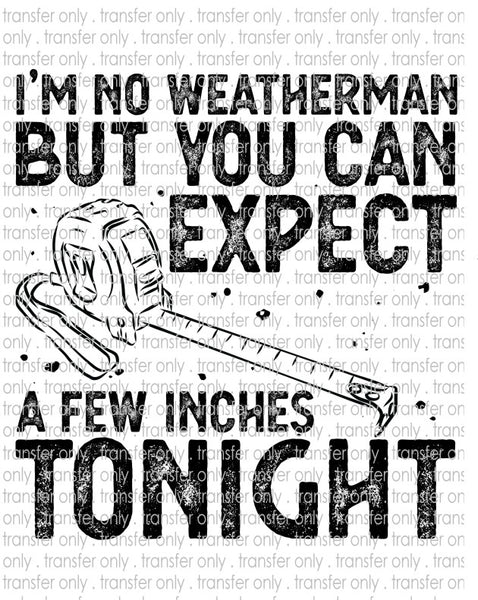 I'm No Weatherman But You Can Expect a Few Inches Tonight - Waterslide, Sublimation Transfers