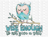 Wise Enough to Not Give a Shit - Waterslide, Sublimation Transfers