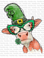 Lucky Irish Cow - Waterslide, Sublimation Transfers