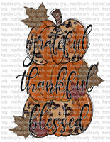Thankful Grateful Blessed - Waterslide, Sublimation Transfers