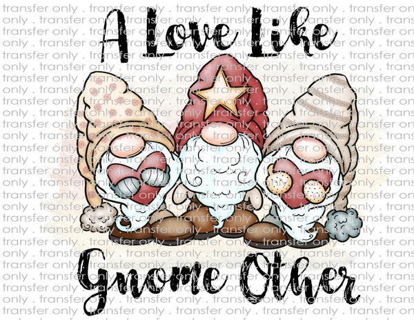 Love Like Gnome Other - Waterslide, Sublimation Transfers