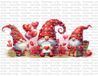 Valentine Gnomes - Waterslide, Sublimation Transfers